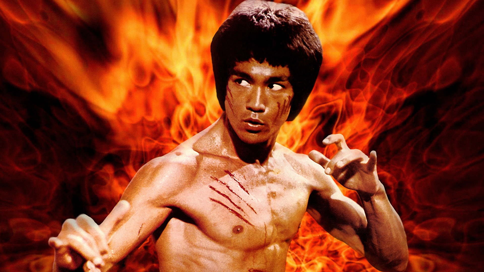 10+ Bruce Lee Fondos de pantalla HD y Fondos de Escritorio