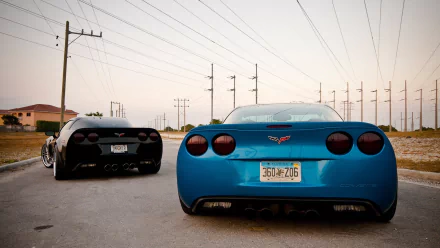 vehicle Chevrolet Corvette HD Desktop Wallpaper | Background Image