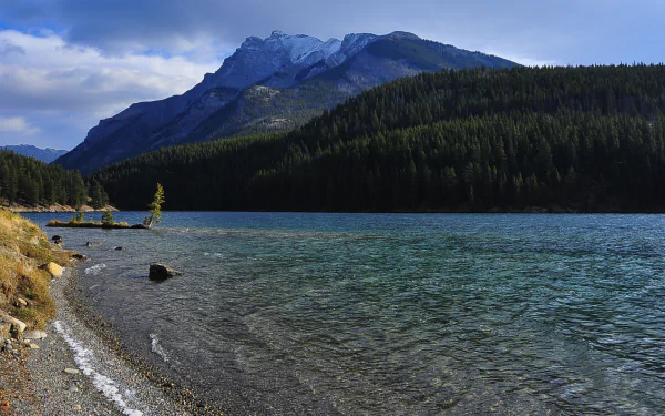 nature two jack lake HD Desktop Wallpaper | Background Image
