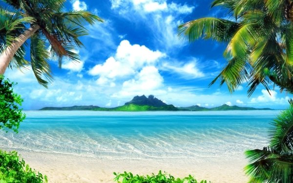 Earth Tropical Sea Beach Tropics Island HD Wallpaper | Background Image
