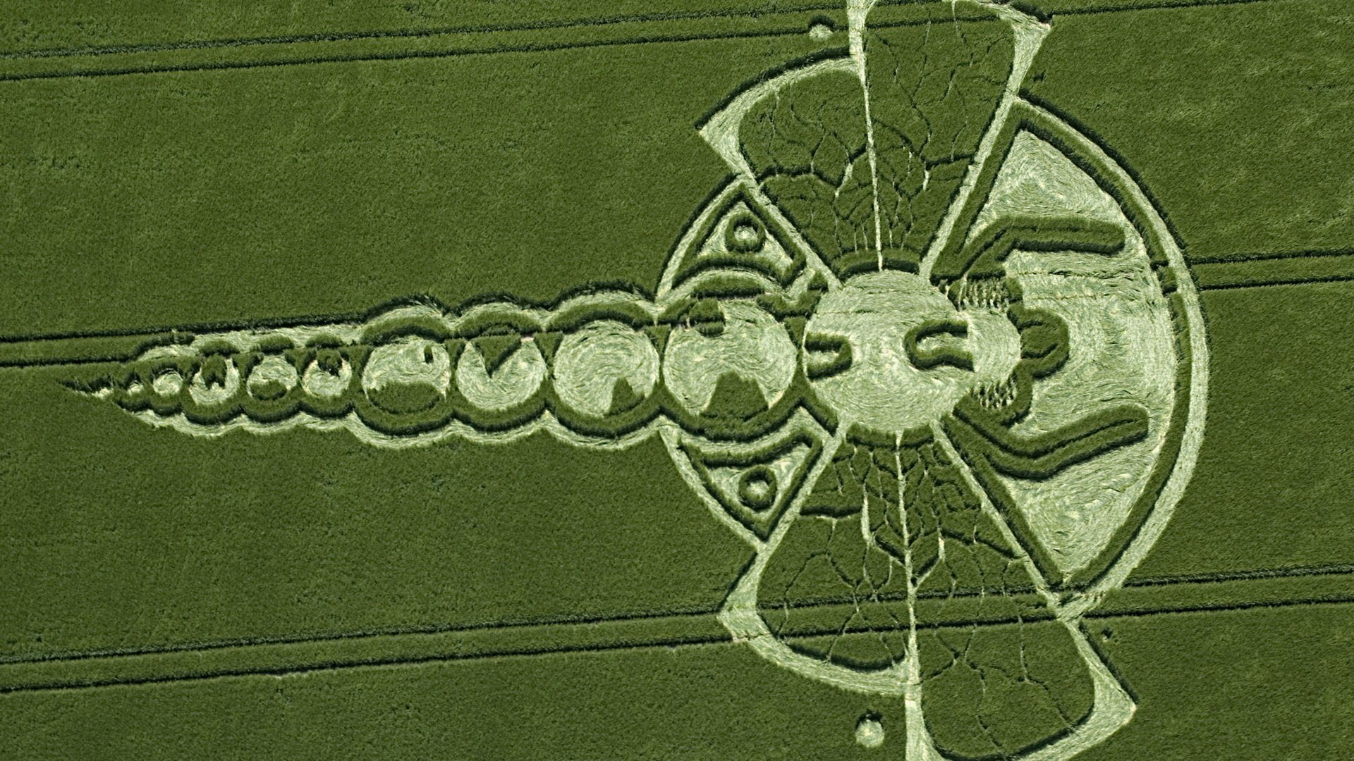 Download Man Made Crop Circle HD Wallpaper