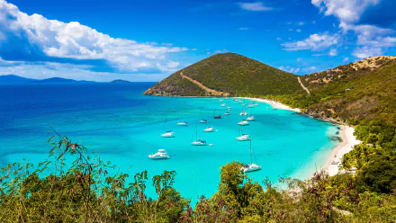 Serene tropical coastline in the Virgin Islands, featuring a vibrant lagoon with boats anchored in crystal-clear waters and lush greenery against a backdrop of rolling hills.