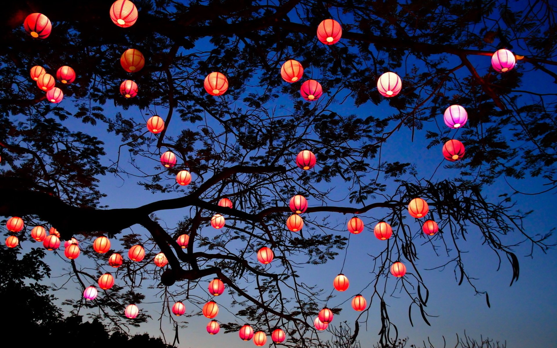 HD desktop wallpaper featuring man-made lanterns glowing in warm colors, suspended from tree branches against a deep blue twilight sky.