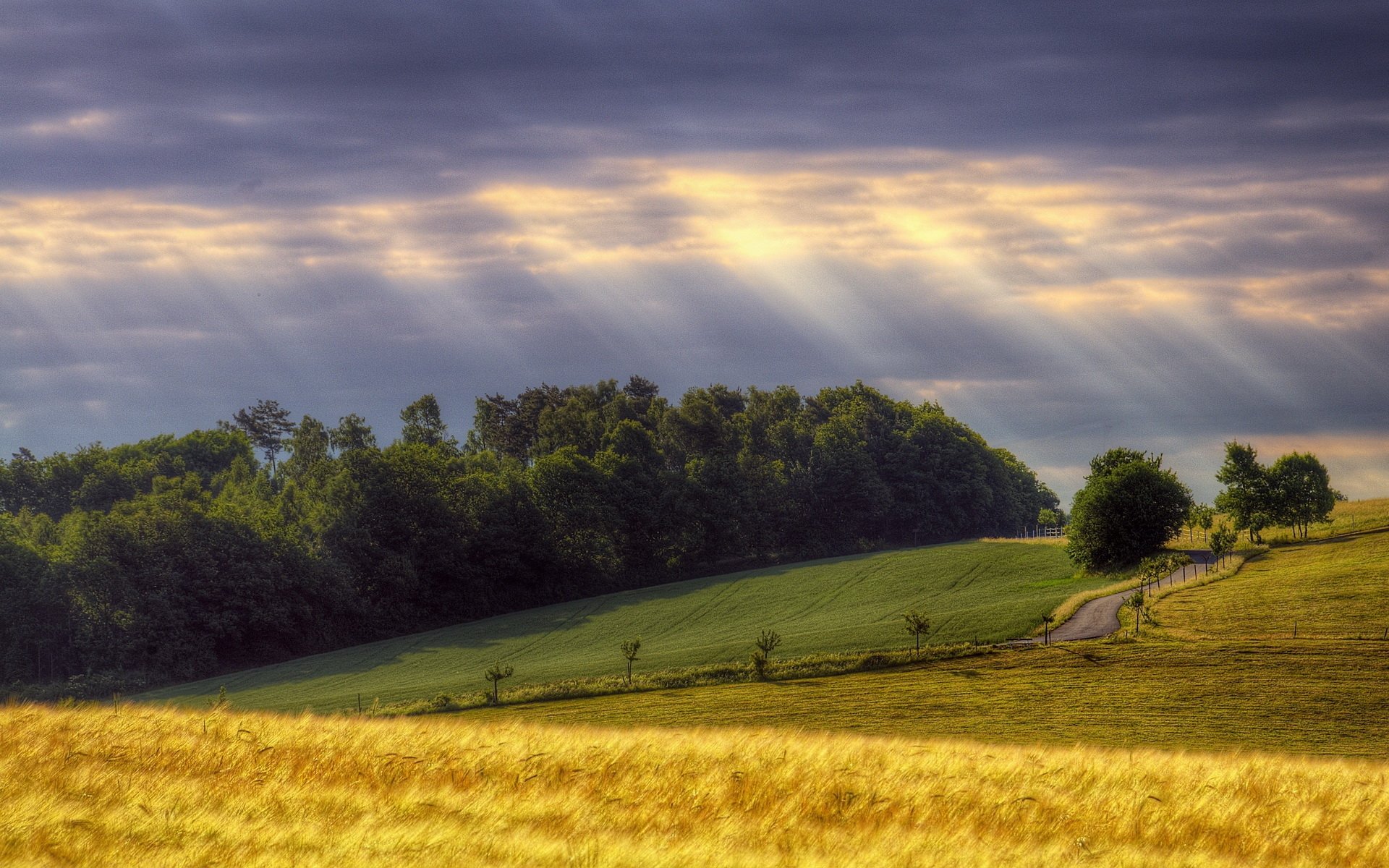 Download Nature Landscape HD Wallpaper