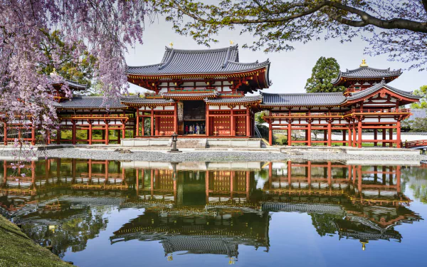 A serene view of Byōdō-in Temple in Kyoto, Japan, featuring traditional architecture reflected in tranquil waters, surrounded by lush greenery and flowering trees.