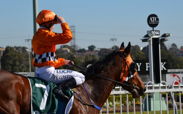 A jockey in vibrant orange attire salutes atop a chestnut horse at Sydney's racecourse, capturing the excitement of horse racing against a clear blue sky.