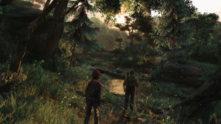 HD PC desktop wallpaper featuring a lush forest scene from the video game The Last Of Us, showing two characters walking along a sunlit path surrounded by trees and foliage.