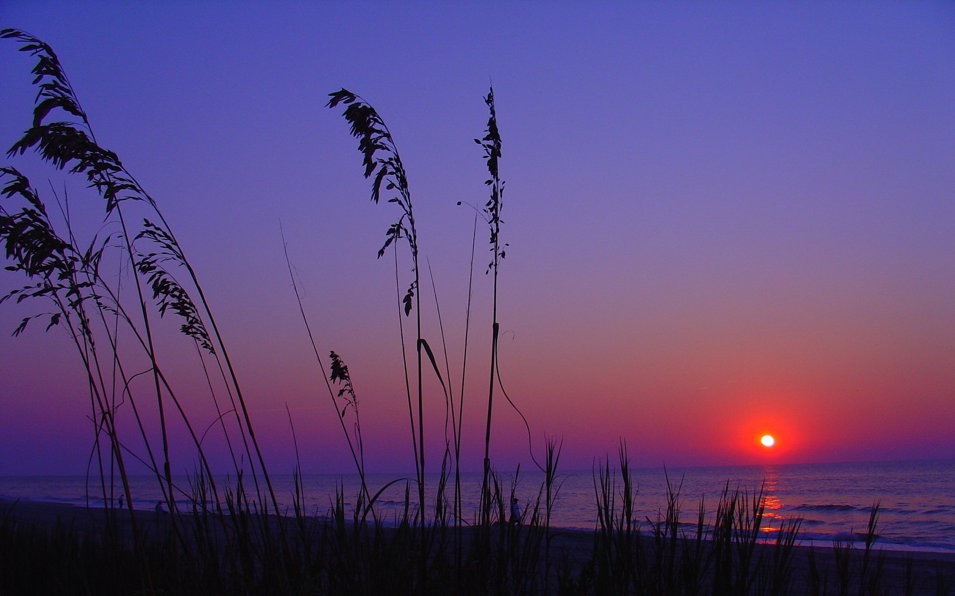 Download Nature Sunset HD Wallpaper