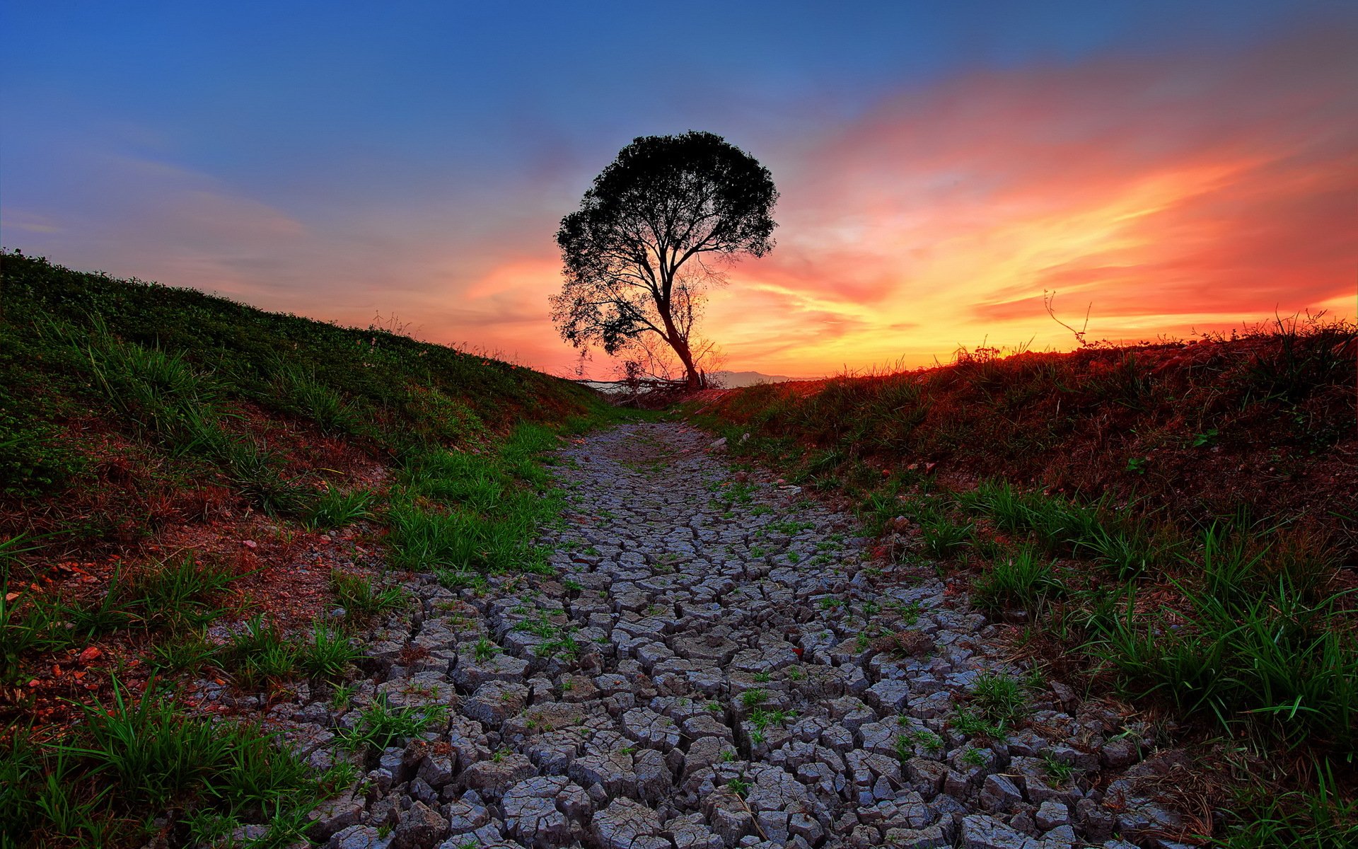 HD PC desktop wallpaper: cracked path through grass leading to a solitary tree silhouetted against a vivid sunset sky.