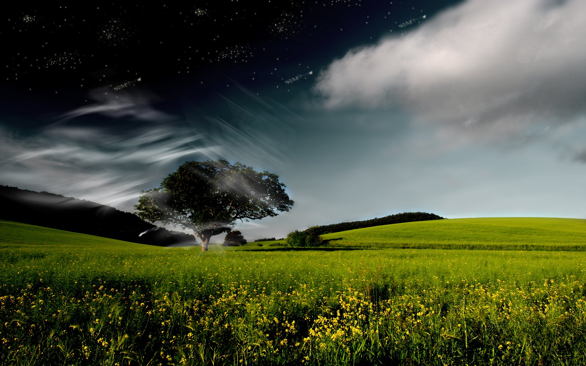 HD desktop wallpaper featuring an artistic nature scene of a solitary tree in a vibrant green field under a starry night sky with wisps of clouds.
