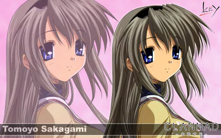 HD desktop wallpaper featuring Tomoyo Sakagami from the anime Clannad, showcasing her with expressive blue eyes and detailed grey hair against a pink background.