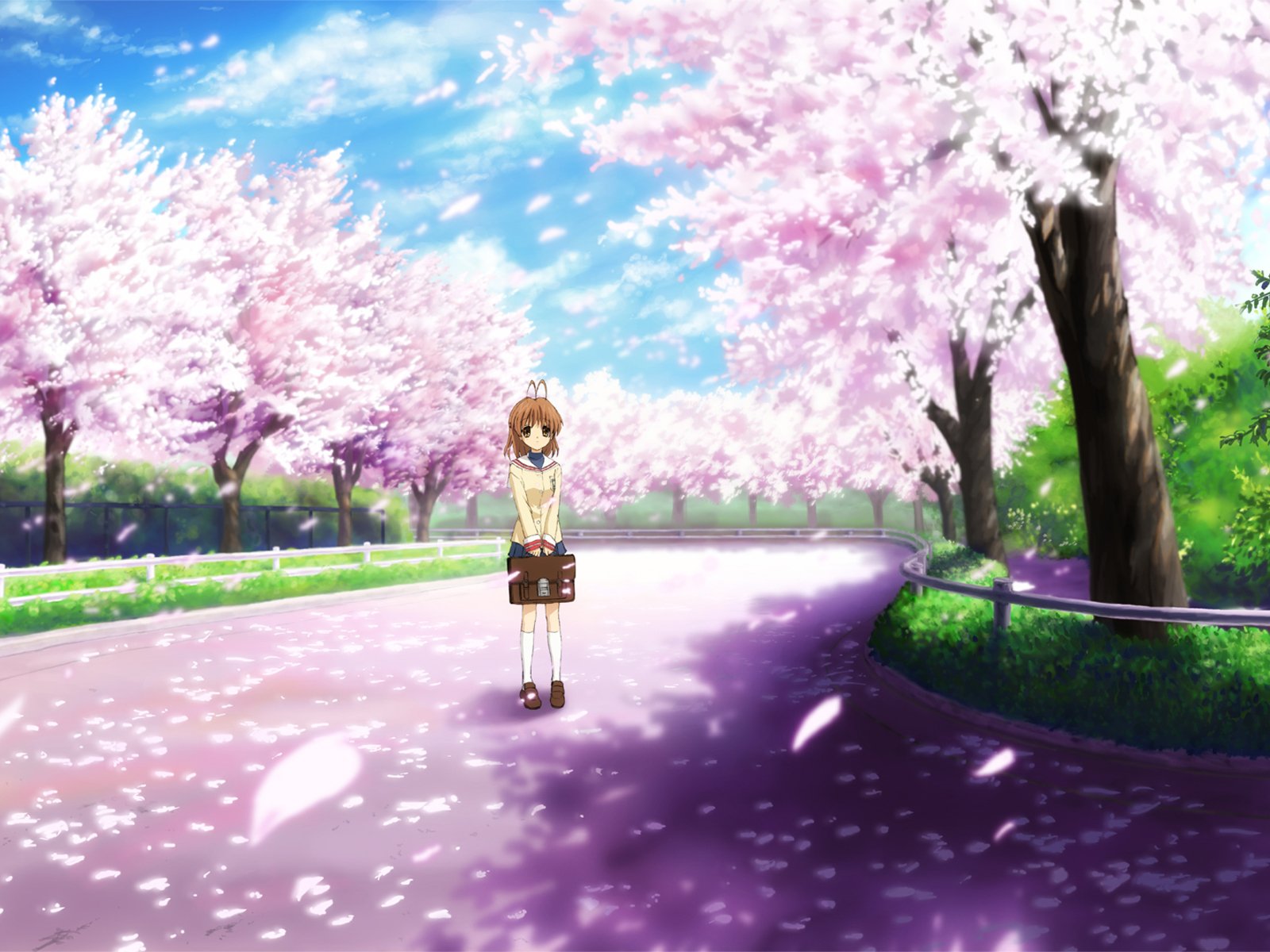 Anime Clannad, wallpaper - Tải về những hình nền đẹp lung linh với các nhân vật yêu thích trong bộ anime Clannad, mang đến cho bạn cảm giác nhẹ nhàng, tình cảm đầy cuốn hút.