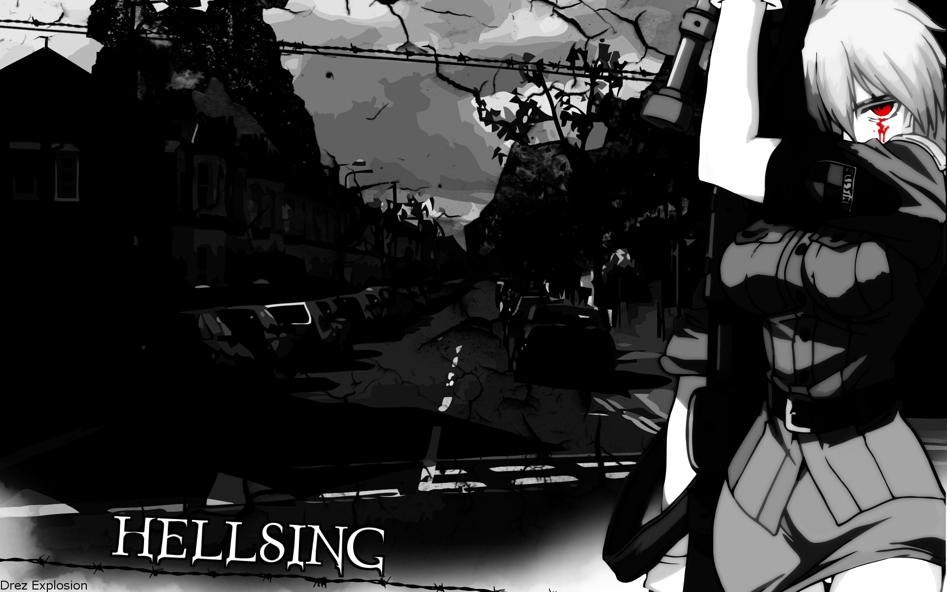 Download Anime Hellsing HD Wallpaper