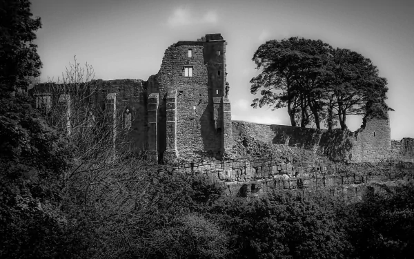 man made Barnard Castle HD Desktop Wallpaper | Background Image