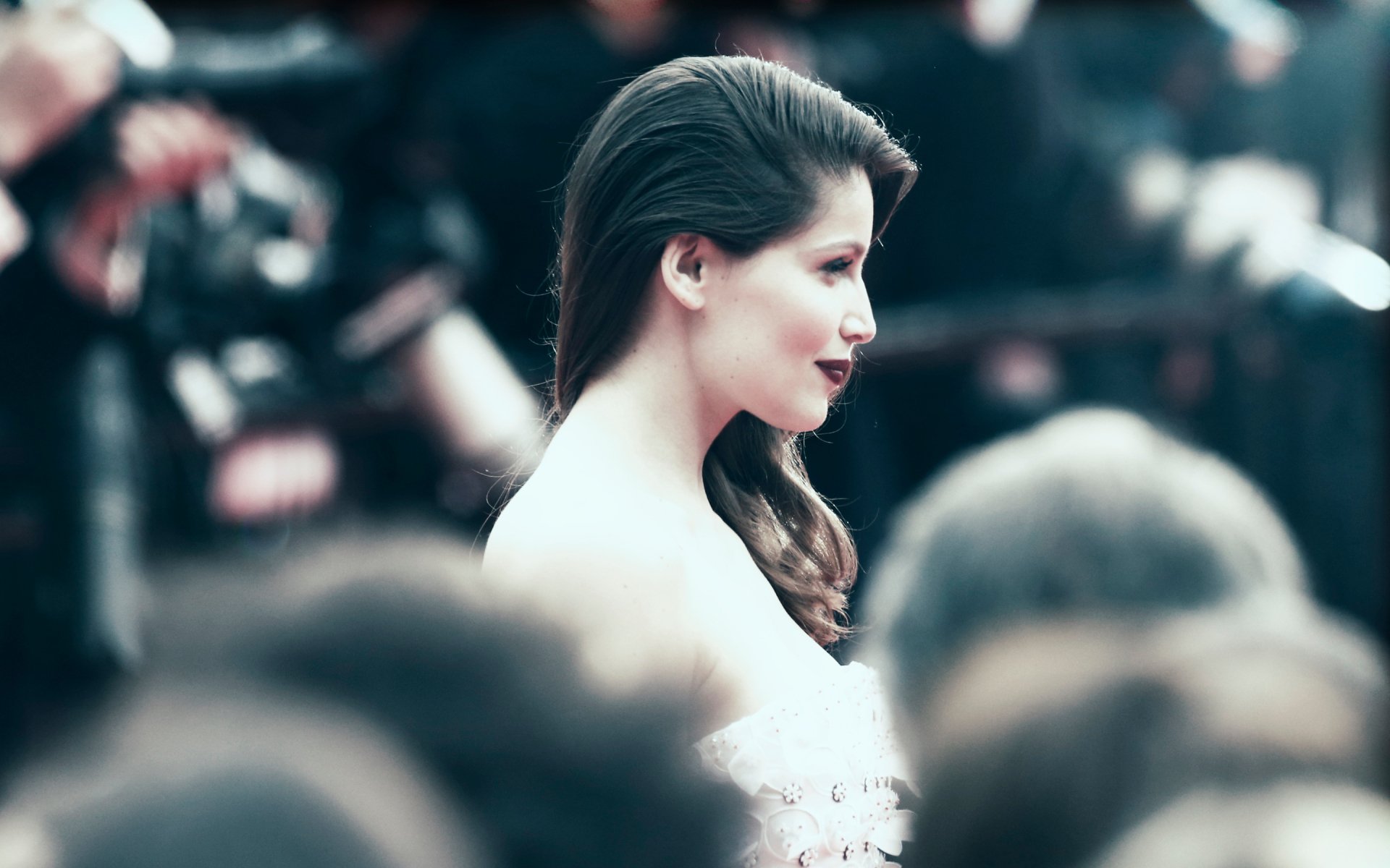 Download Model French Celebrity Laetitia Casta HD Wallpaper