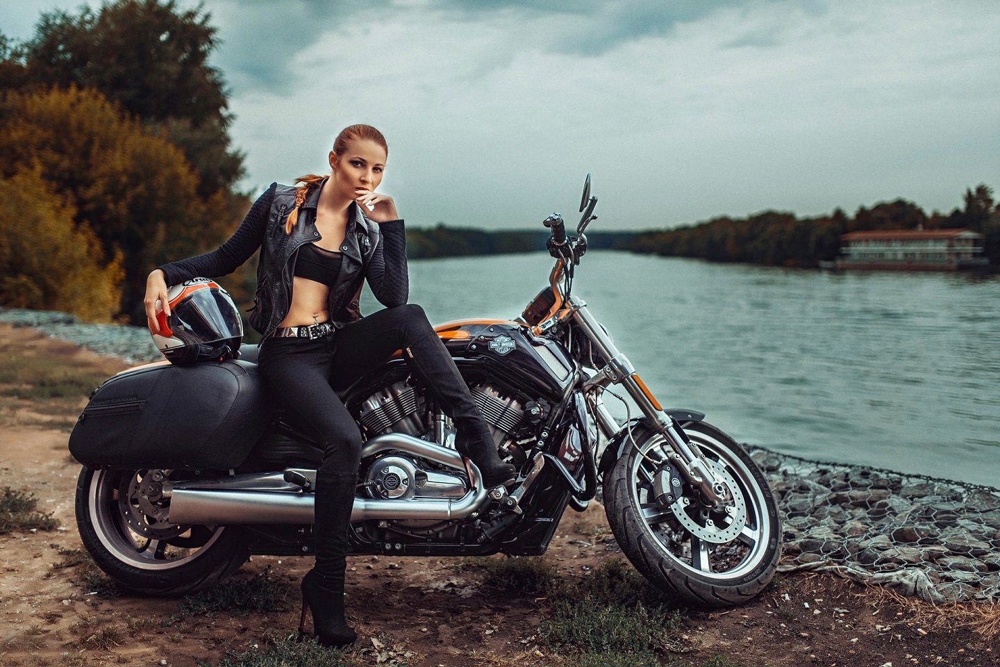 Harley Davidson Wallpaper and Background Image | 1440x960 | ID:541928