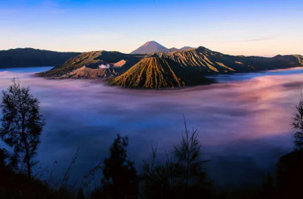 A stunning view of Mount Bromo, a volcano in Java, Indonesia, surrounded by mist and lush greenery, showcasing the beauty of nature in this HD desktop wallpaper.