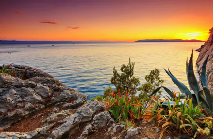 shore nature sunset HD Desktop Wallpaper | Background Image