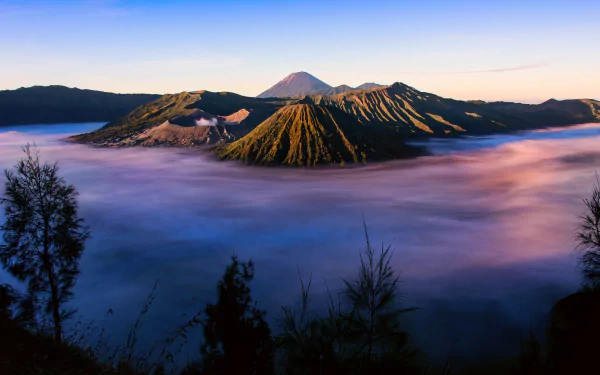 A stunning view of Mount Bromo, a volcano in Java, Indonesia, surrounded by mist and lush greenery, showcasing the beauty of nature in this HD desktop wallpaper.
