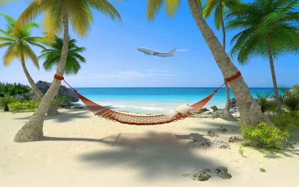 Photography Tropical Tropics Holiday Palm Tree Sea Beach Airplane HD Wallpaper | Background Image