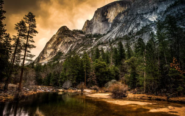 HD PC wallpaper showcasing pine trees and rugged mountain cliffs under a dramatic sky, highlighting the natural beauty of woodlands and mountainous terrain.