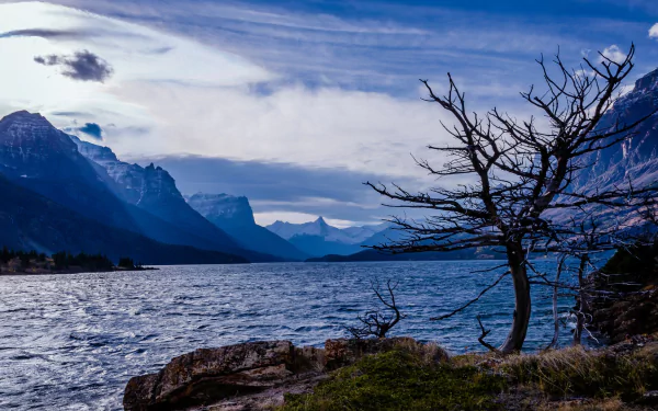 HD desktop wallpaper showcasing the serene beauty of Saint Mary Lake with rugged mountains, a cloudy sky, and a leafless tree by the rocky shoreline.