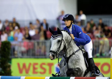 HD PC desktop wallpaper of an equestrian show-jumping scene: a rider in blue guiding a gray horse over a jump at a sports event, blurred crowd in the background.