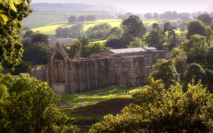 man made Bolton Priory HD Desktop Wallpaper | Background Image