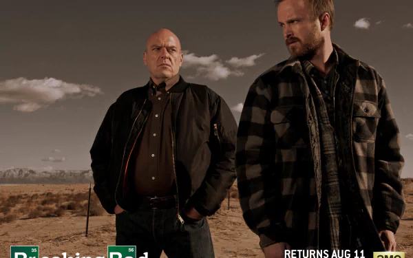 [10+] Hank Schrader Wallpapers