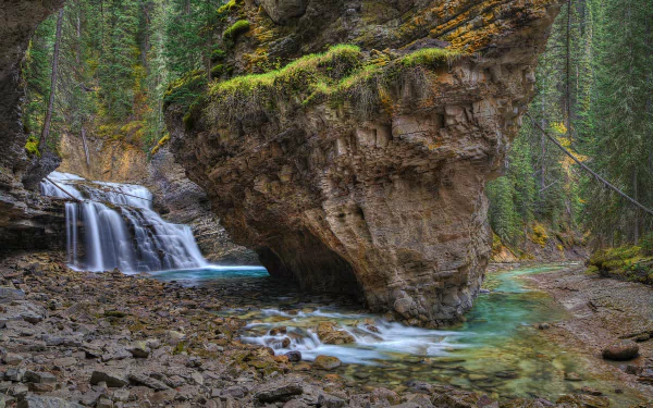 HD PC desktop wallpaper: forest nature scene with a cascading waterfall, turquoise pool and moss-covered rock formation beneath towering evergreen trees.