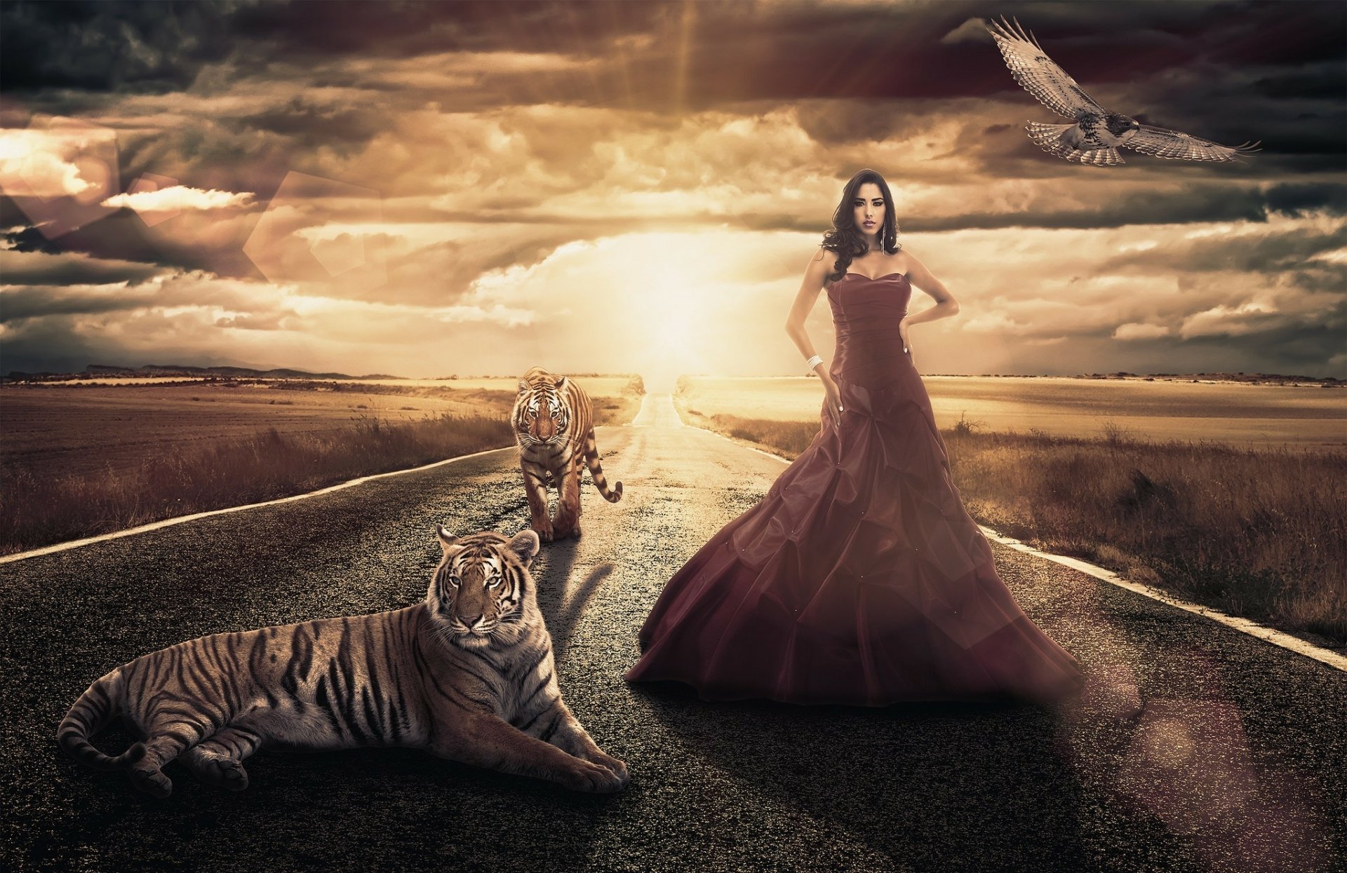 Download Manipulation Dress Road Sunset Bird Tiger Woman Andresa Alves  HD Wallpaper by Jackson Carvalho