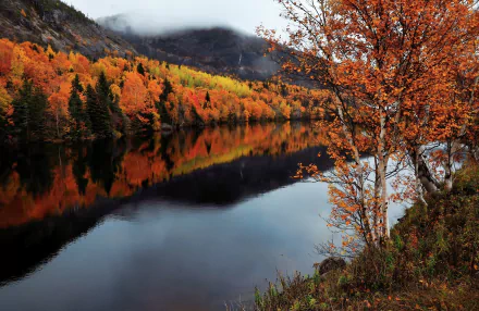 HD PC desktop wallpaper, Newfoundland, Canada nature scene: fall forest beside a glassy river, orange and gold trees reflected beneath misty hills.