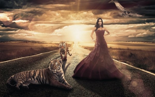 Women Andresa Alves Tiger Bird Sunset Road Dress Manipulation HD Wallpaper | Background Image