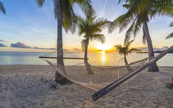 sand sea beach sunset palm tree tropics man made hammock HD Desktop Wallpaper | Background Image