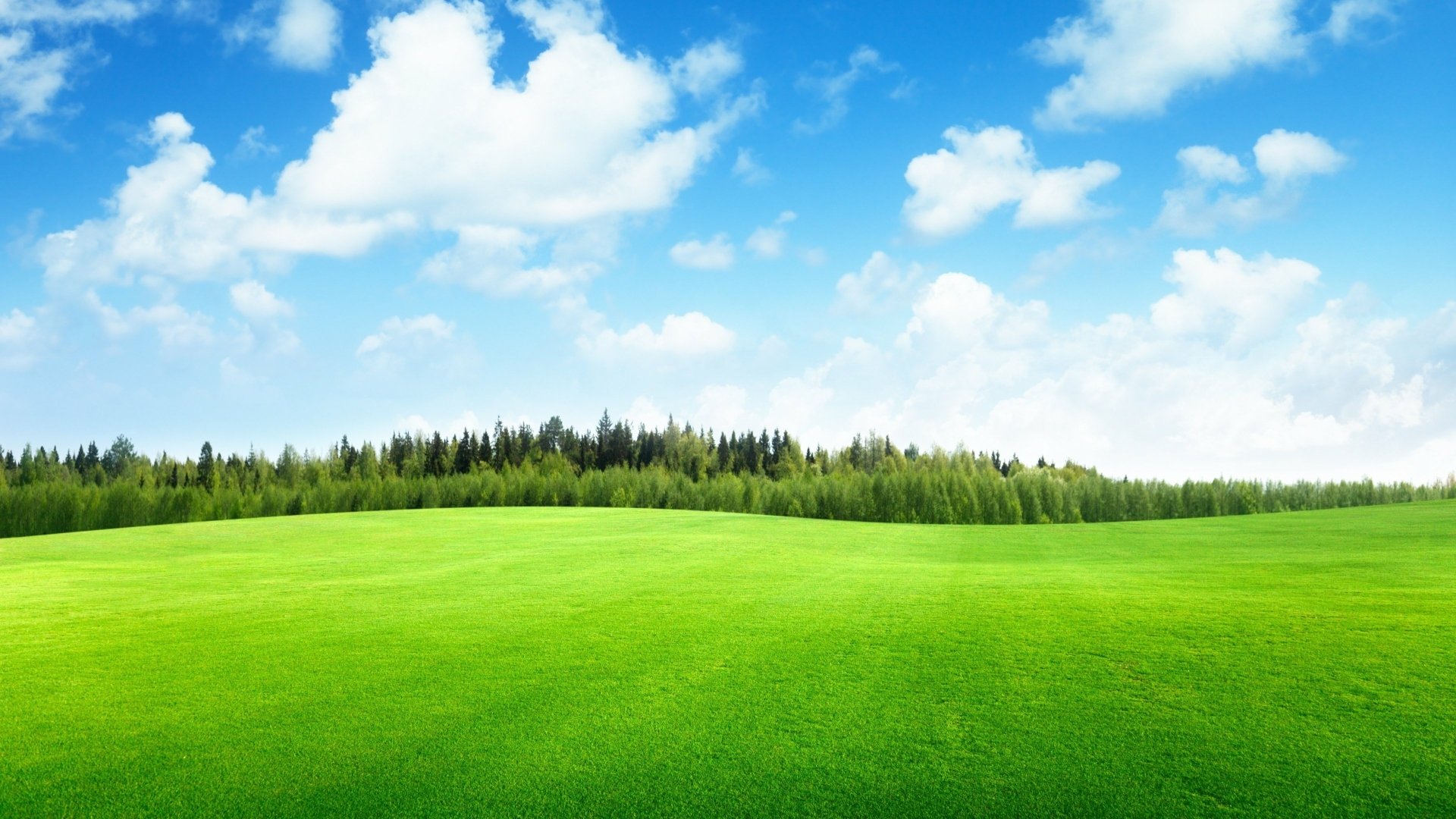 A vibrant green meadow under a bright blue sky with scattered clouds, captured in 4K Ultra HD as a nature landscape desktop wallpaper.