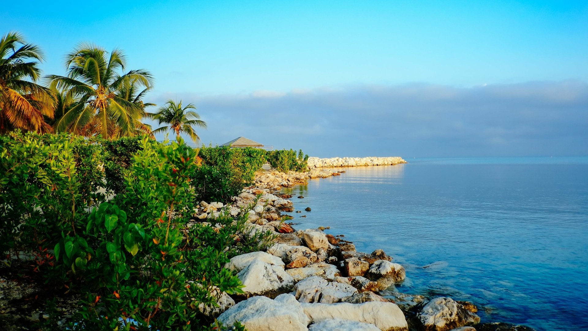 A vibrant nature seascape with lush greenery, palm trees, and rocky shoreline under a clear blue sky, captured in stunning 4K Ultra HD for a PC desktop wallpaper.