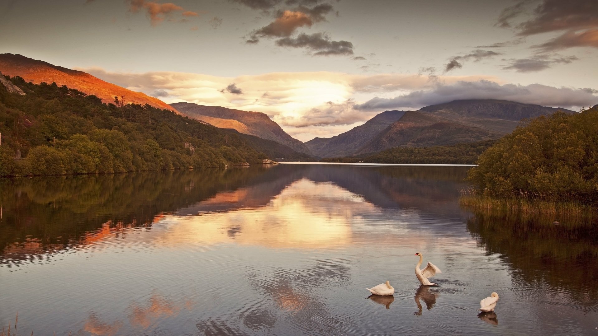 Download Nature River 4k Ultra HD Wallpaper