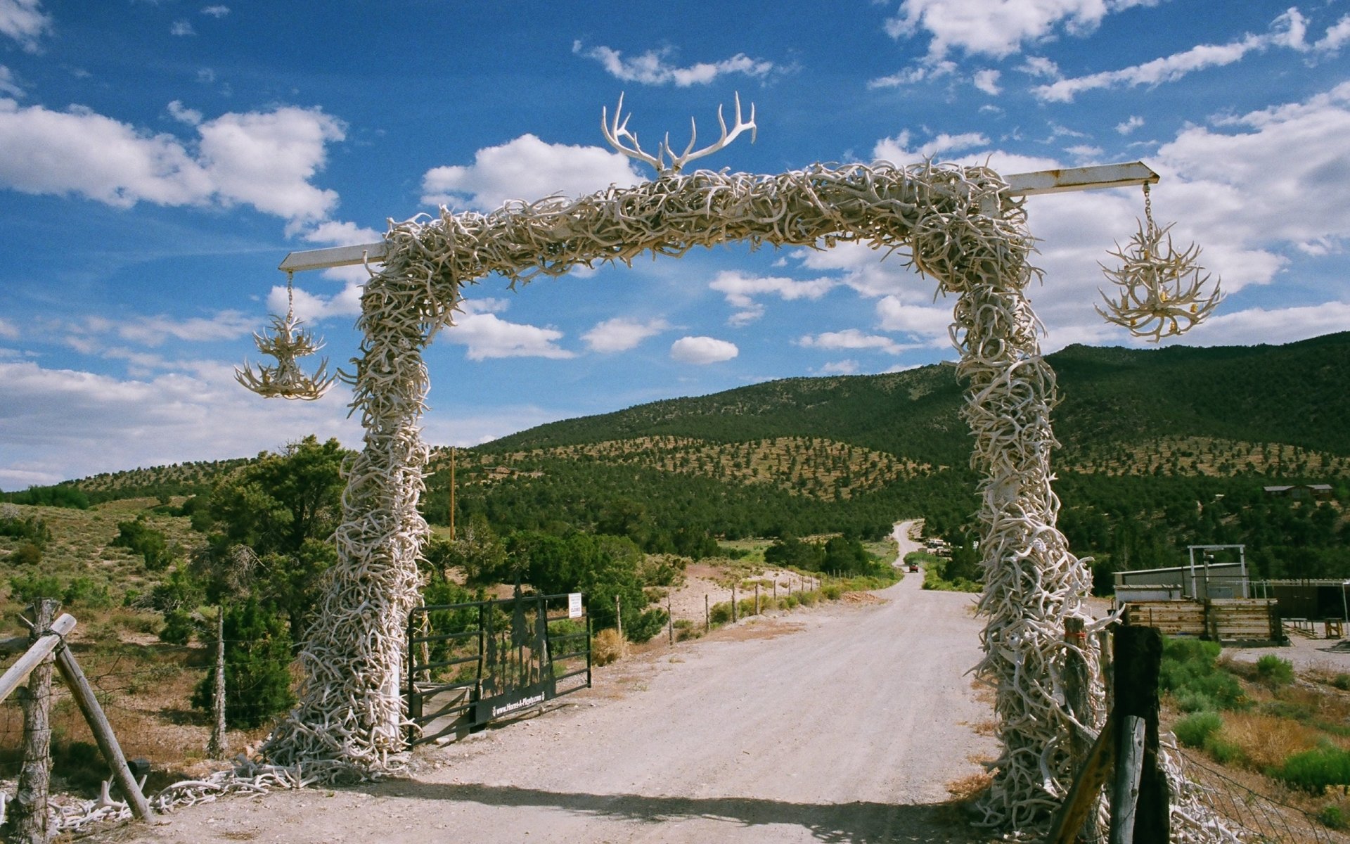 Download Man Made Antler Arch HD Wallpaper