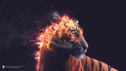 HD desktop wallpaper of a fantasy tiger with flames around its head against a dark background, showcasing a mystical and powerful appearance.