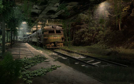 HD desktop wallpaper showing an abandoned, overgrown train wreck in a dark, eerie environment with dense foliage and dim lighting.