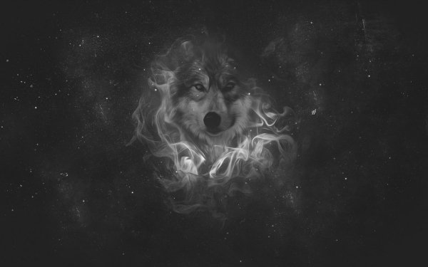 1000 狼高清壁纸 桌面背景