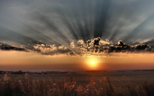4K Ultra HD nature wallpaper capturing sunbeams radiating from a vibrant sunset over a field with delicate clouds in the sky.
