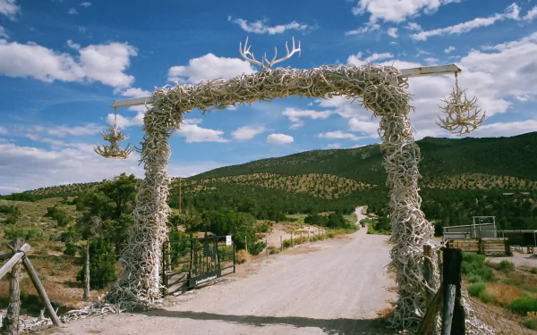 man made Antler Arch HD Desktop Wallpaper | Background Image