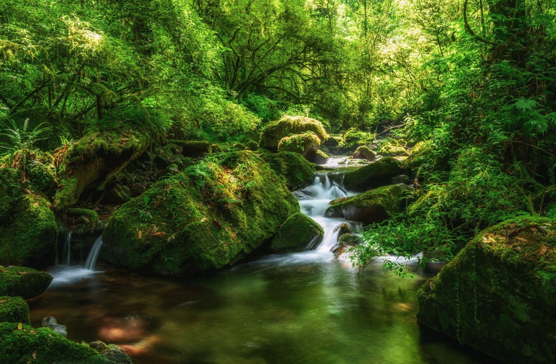 Lush forest scene with vibrant green moss-covered stones and a gentle waterfall cascading into a clear stream, captured in stunning HD for a PC desktop wallpaper.