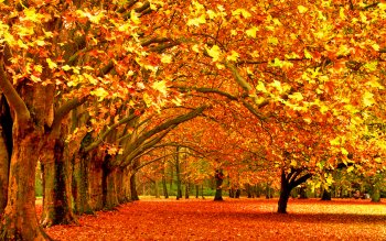 Wallpaper ID: 547065