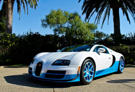 HD wallpaper featuring a Bugatti Veyron car with blue and white colors, parked outdoors under palm trees.