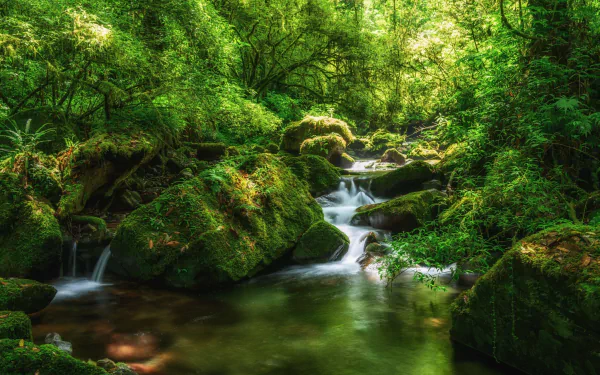 Lush forest scene with vibrant green moss-covered stones and a gentle waterfall cascading into a clear stream, captured in stunning HD for a PC desktop wallpaper.