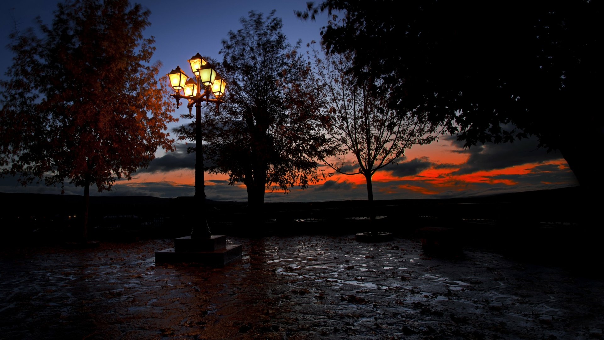 A serene sunset scene featuring silhouetted trees and a glowing street lamp, captured in stunning detail for an HD desktop wallpaper or background.
