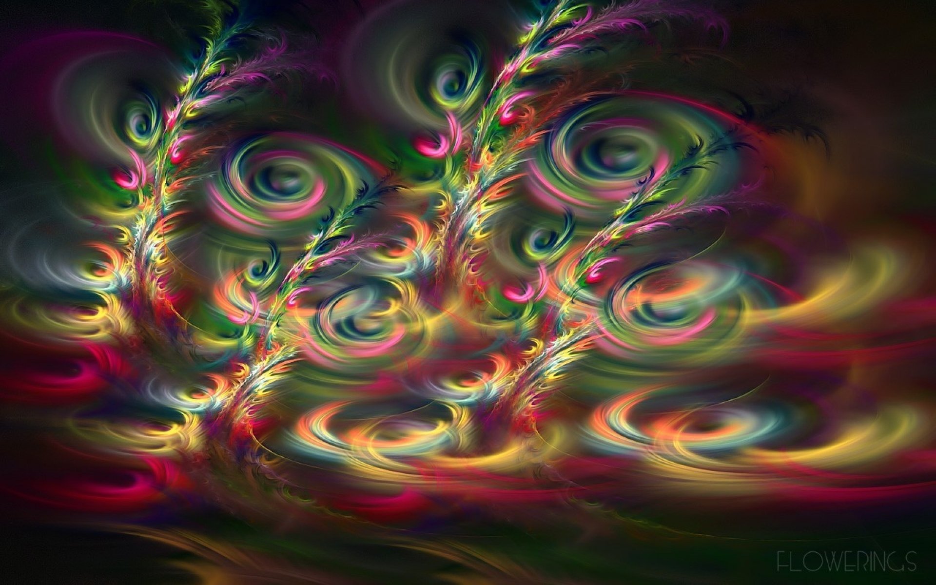 A vibrant HD PC desktop wallpaper featuring artistic spirals and tendril-like curls resembling abstract flowers in glowing, swirling colors.