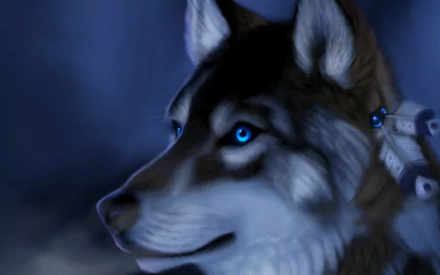 HD desktop wallpaper featuring a detailed, close-up image of a wolf with striking blue eyes against a dark, blurred background.